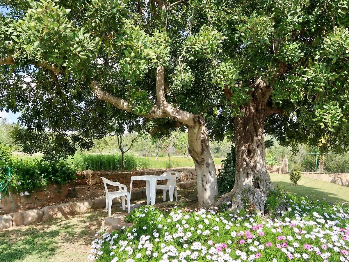 Casa de Férias Mtj Vila Estoi
